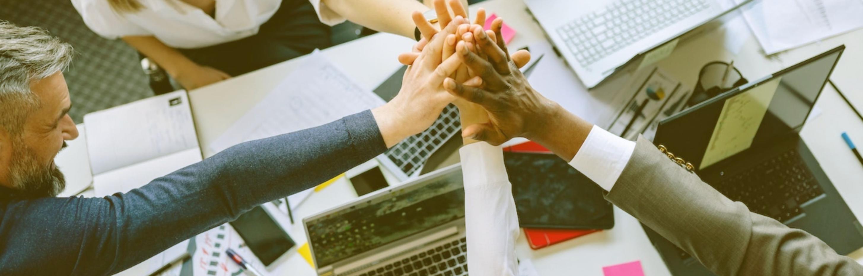 Herramientas profesionales de SEO en uso